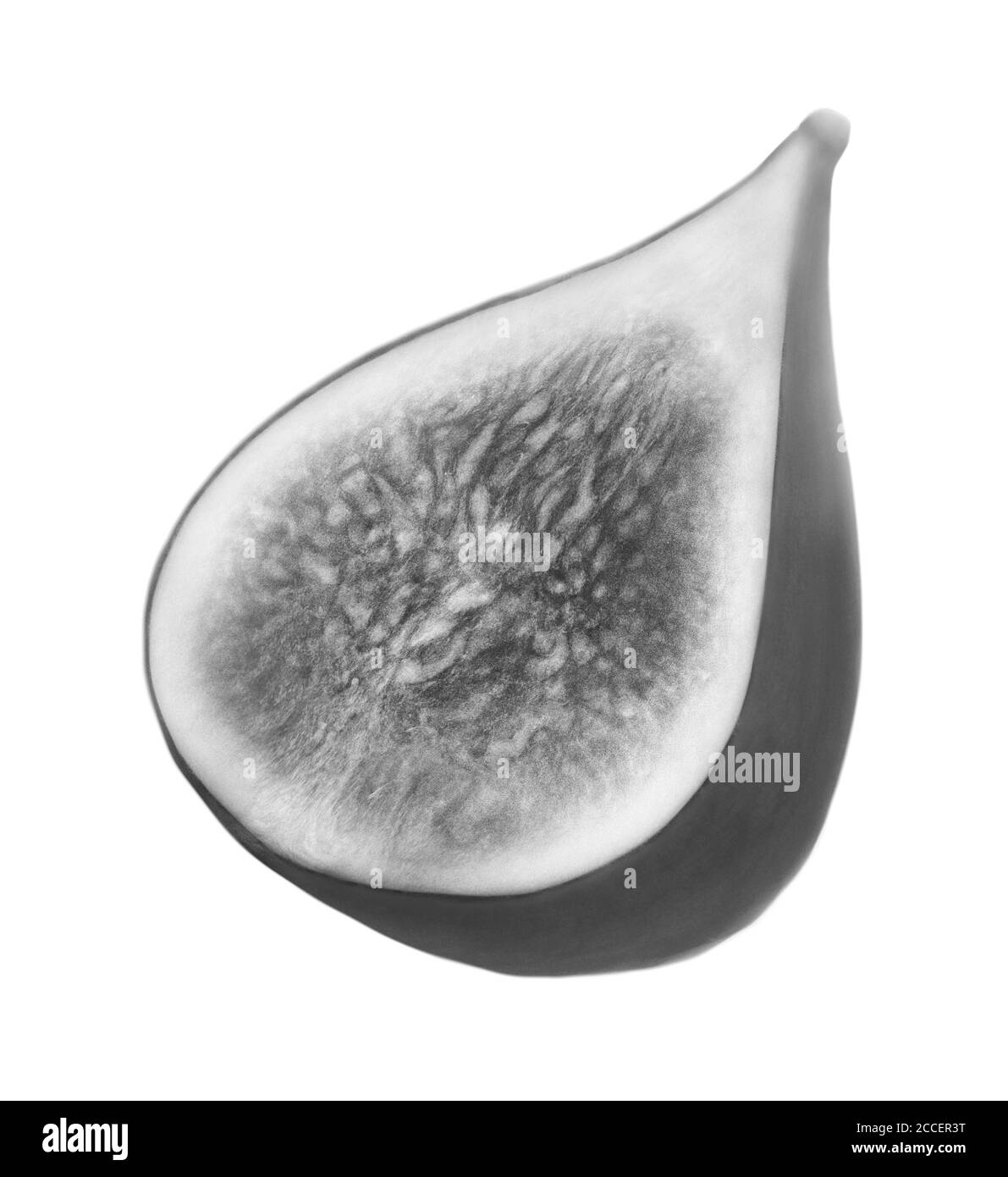 Fig fruit, X-ray Stock Photo