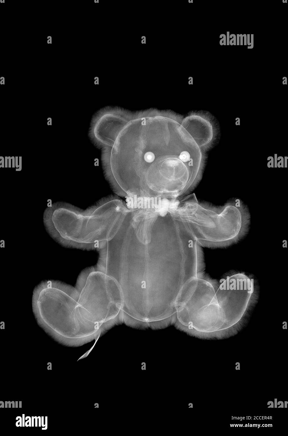Plush toy teddy bear, X-ray Stock Photo