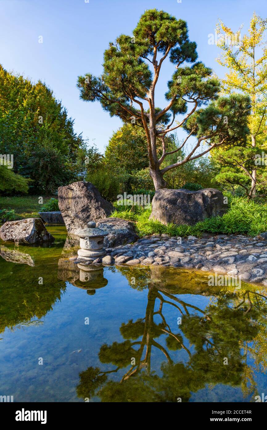 Germany, Baden-Wuerttemberg, Bietigheim-Bissingen, Japan garden Stock Photo