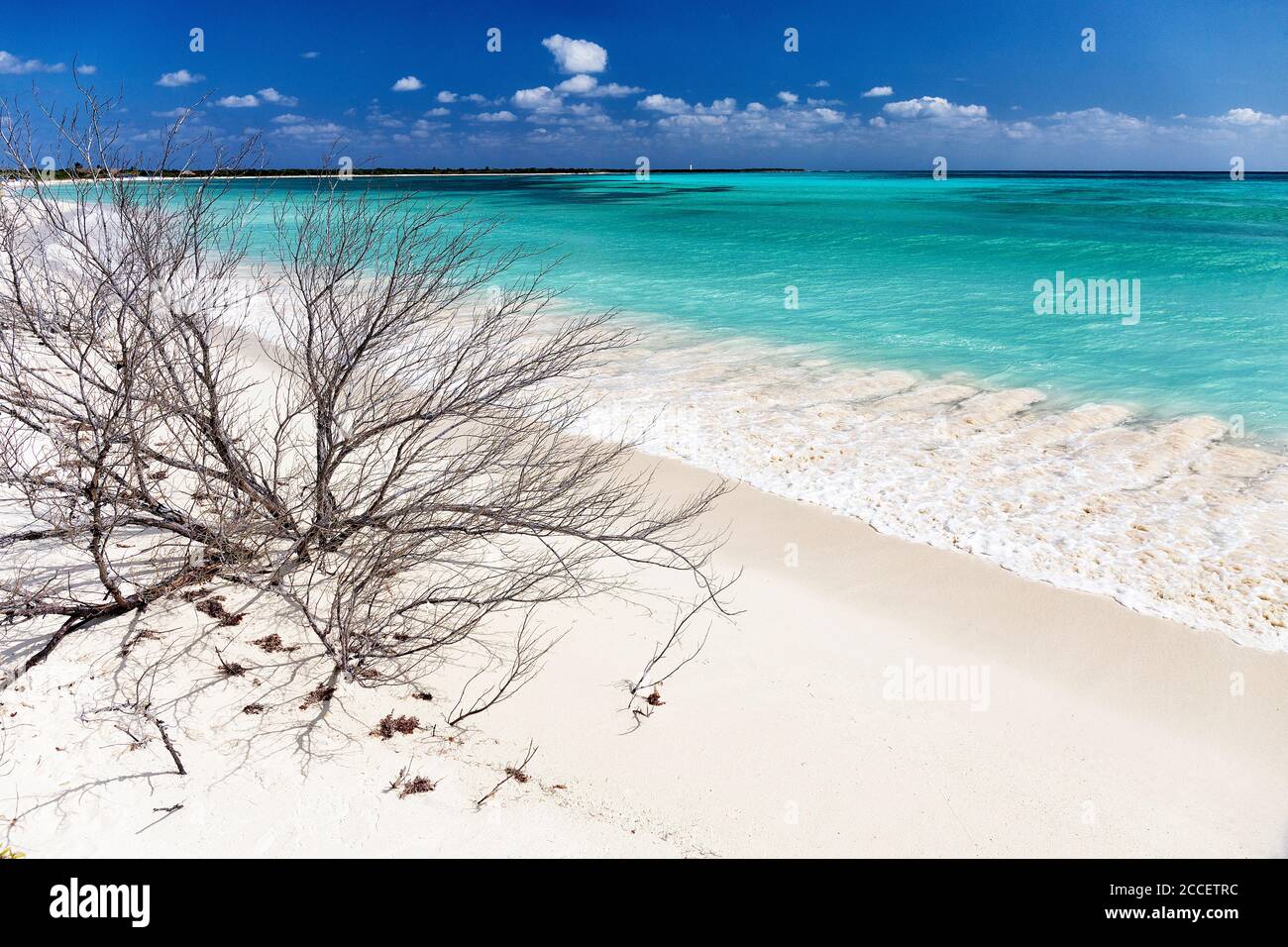 Mexico Cozumel Punta Sur parque ecological park Stock Photo