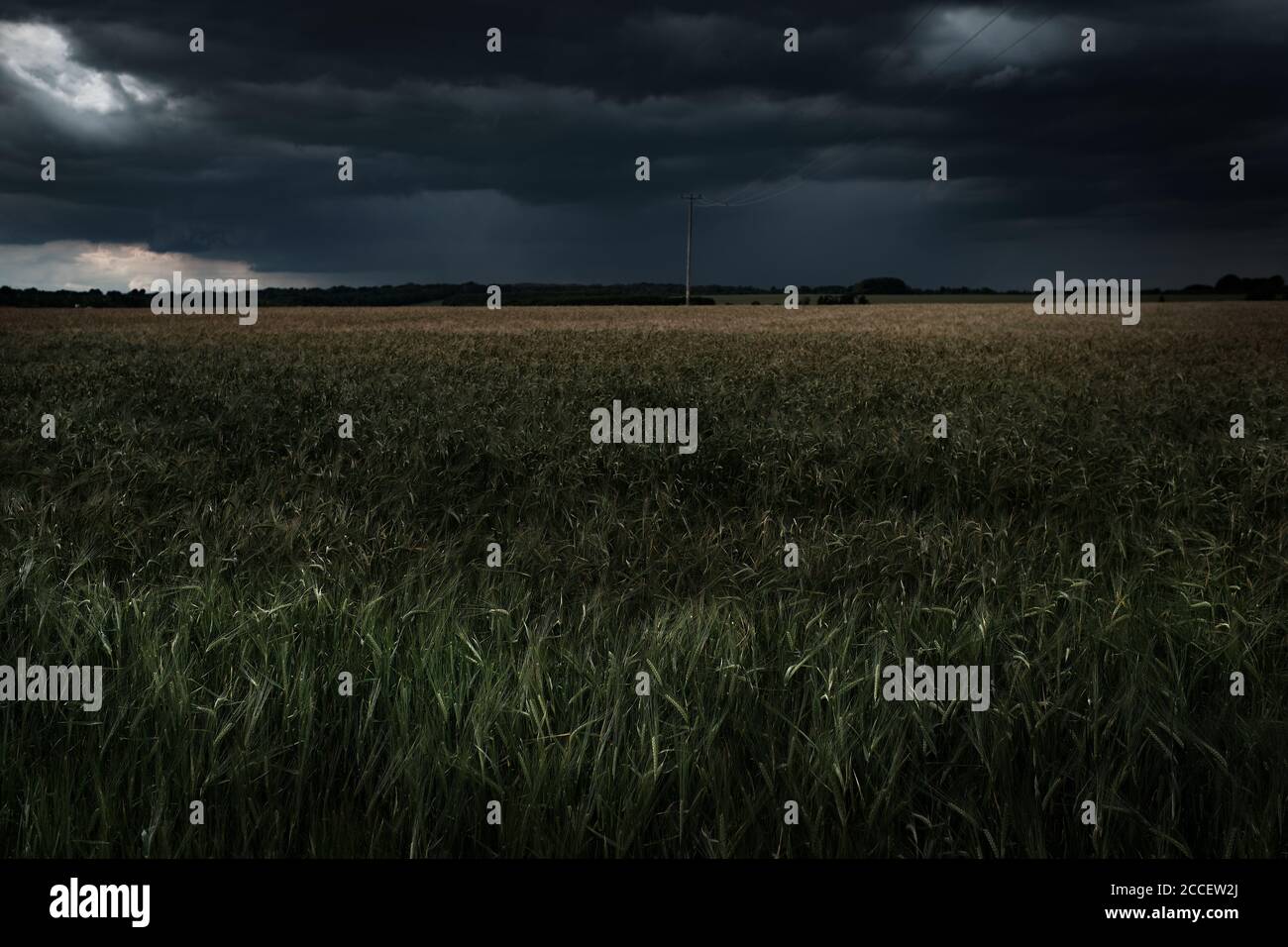 Wheat Field With Impending Storm Stock Photo - Alamy