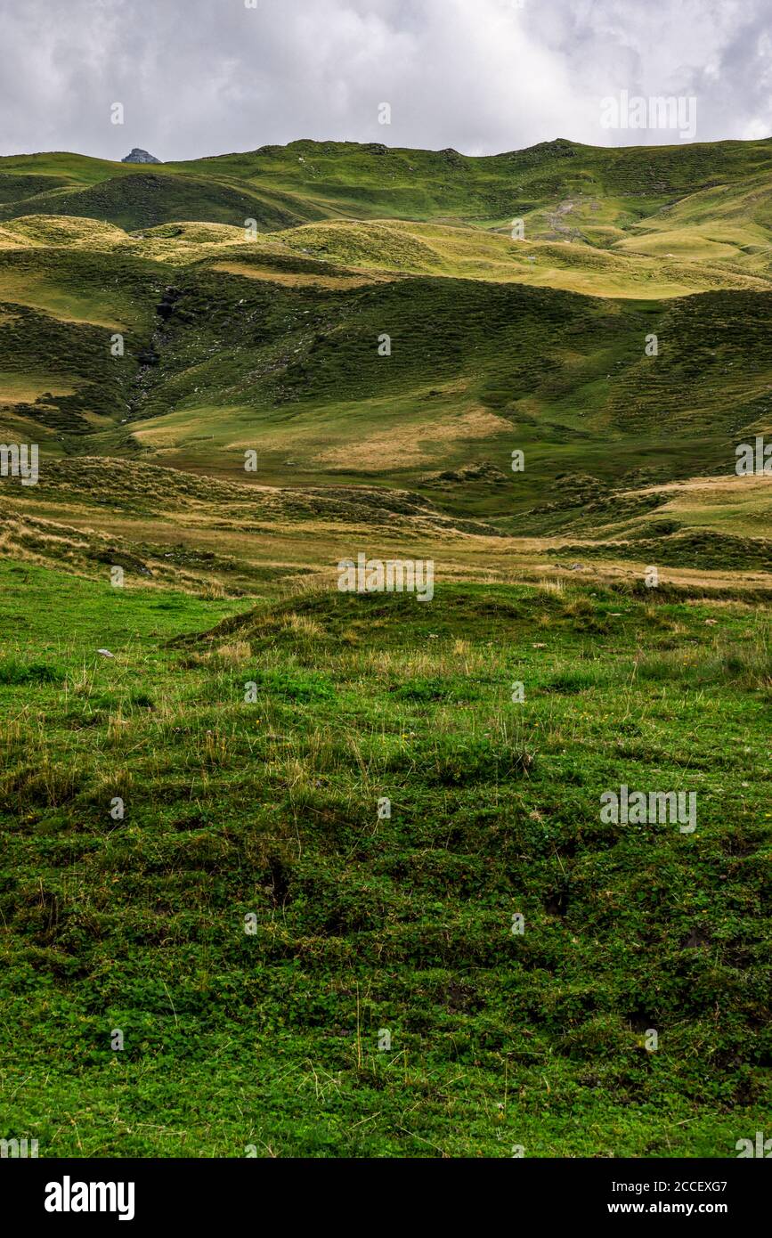 Amazing nature of Switzerland in the Swiss Alps Stock Photo - Alamy