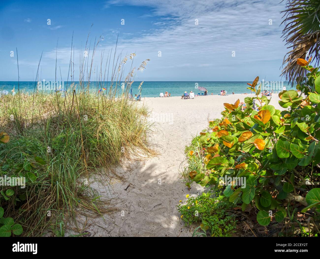 Path to Manasota Beach on the Gulf of Mexico on Manasota Key in