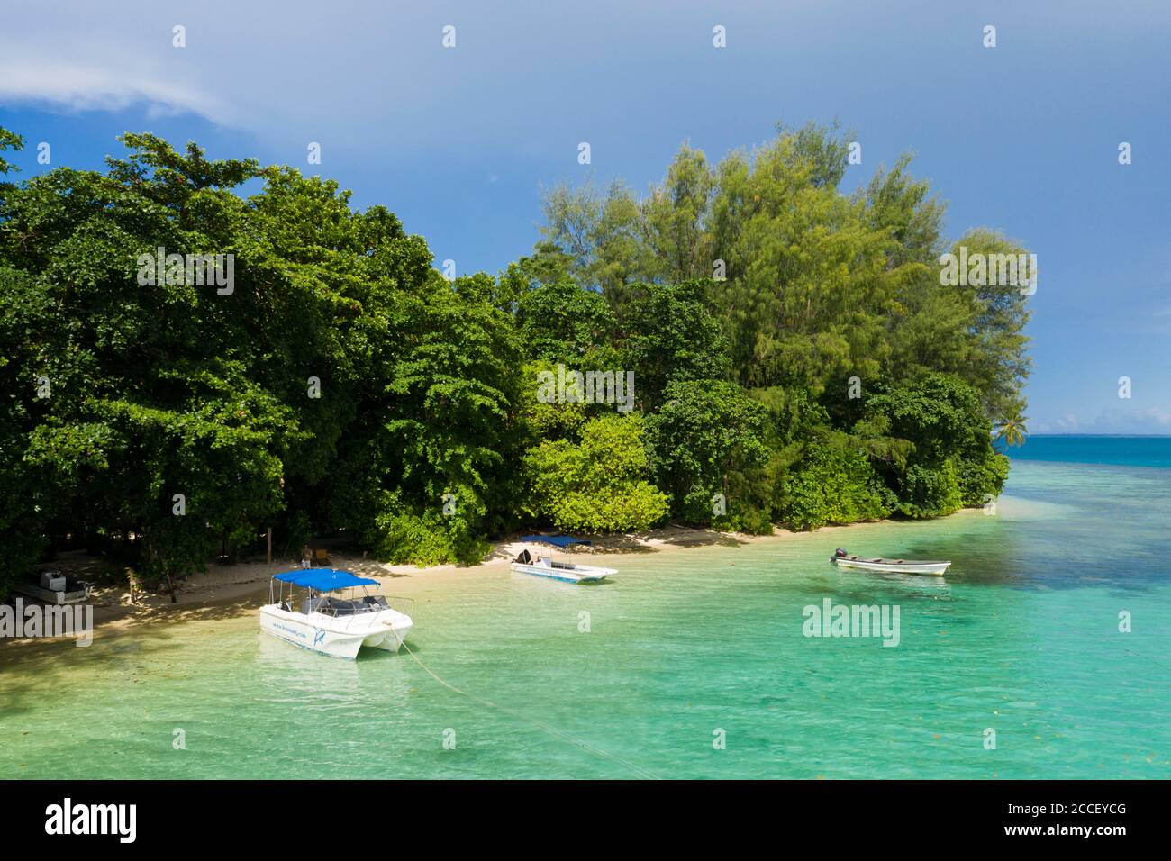 Snorkeling at House Reef of Lissenung, New Ireland, Papua New Guinea Stock Photo