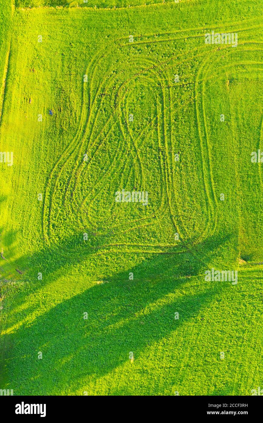 Meadows with tractor tracks, near Wackersberg, aerial photo, Upper Bavaria, Bavaria, Germany Stock Photo