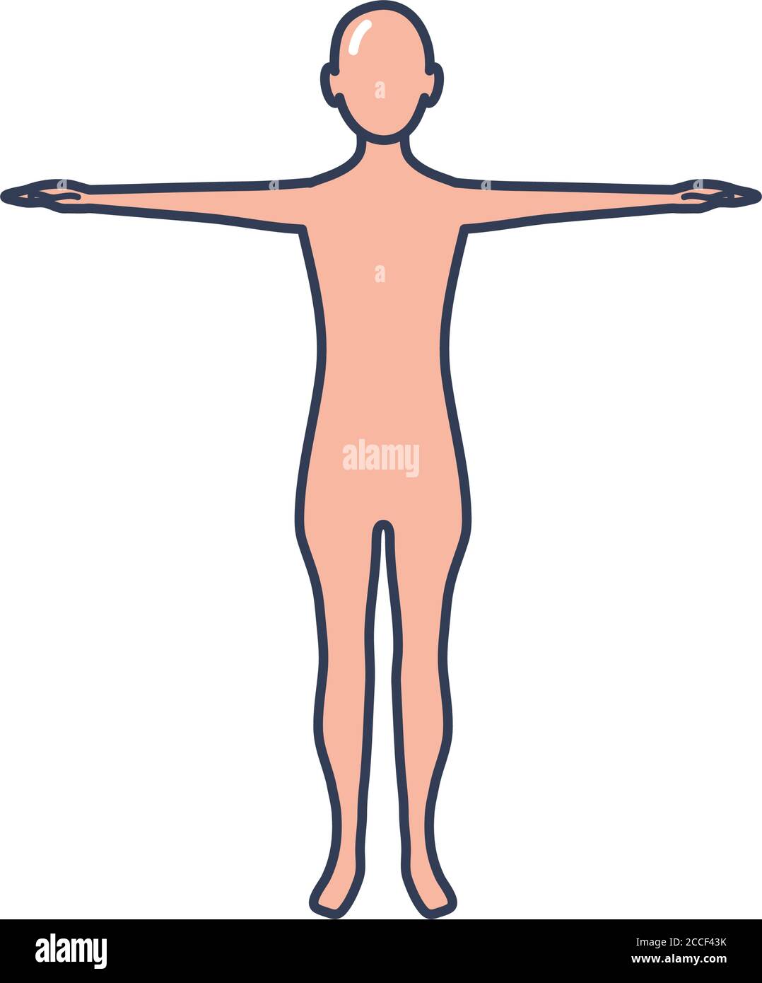human body standing icon over white background, line fill style, vector ...