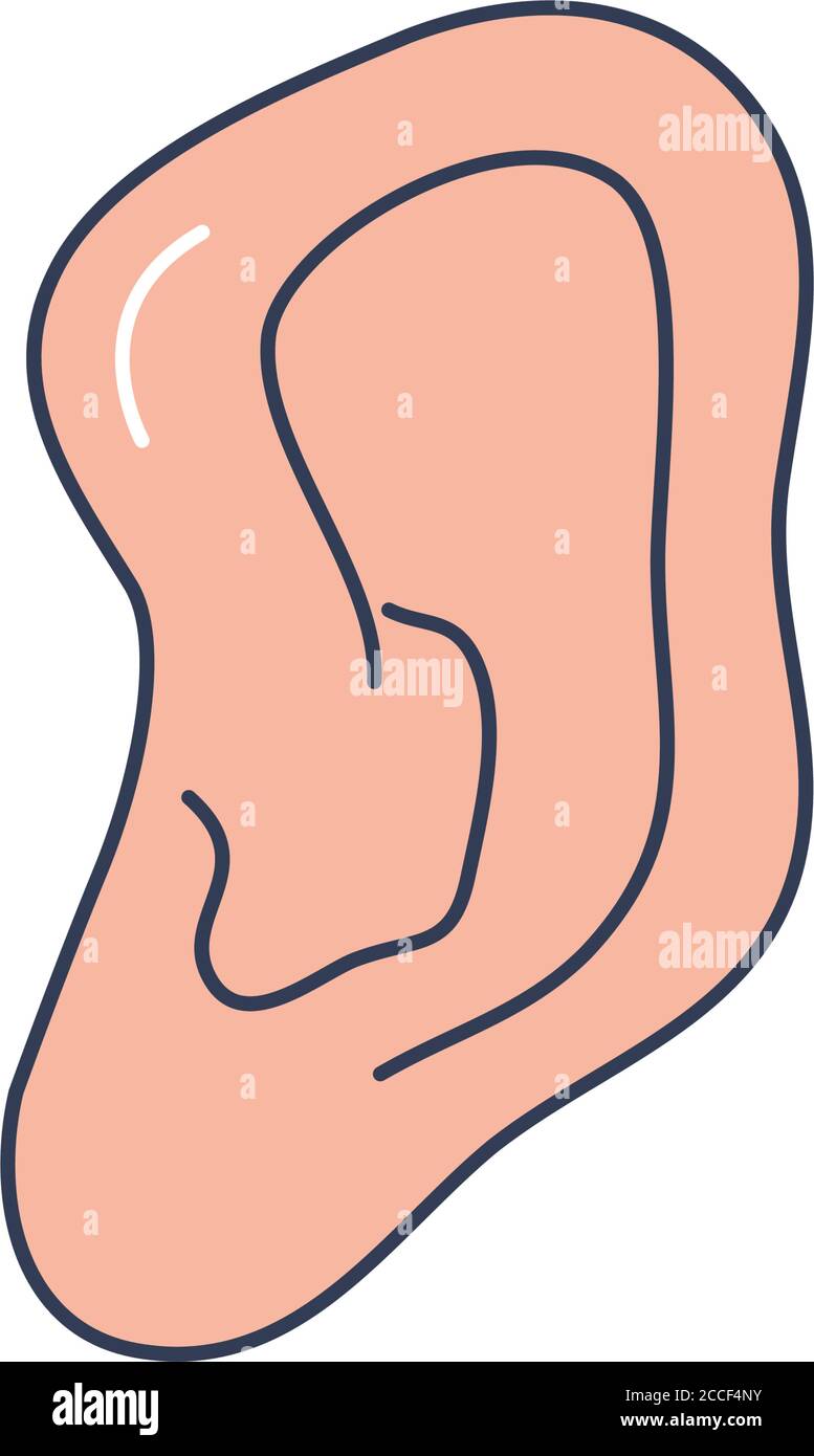 human body concept, ear icon over white background, line fill style ...