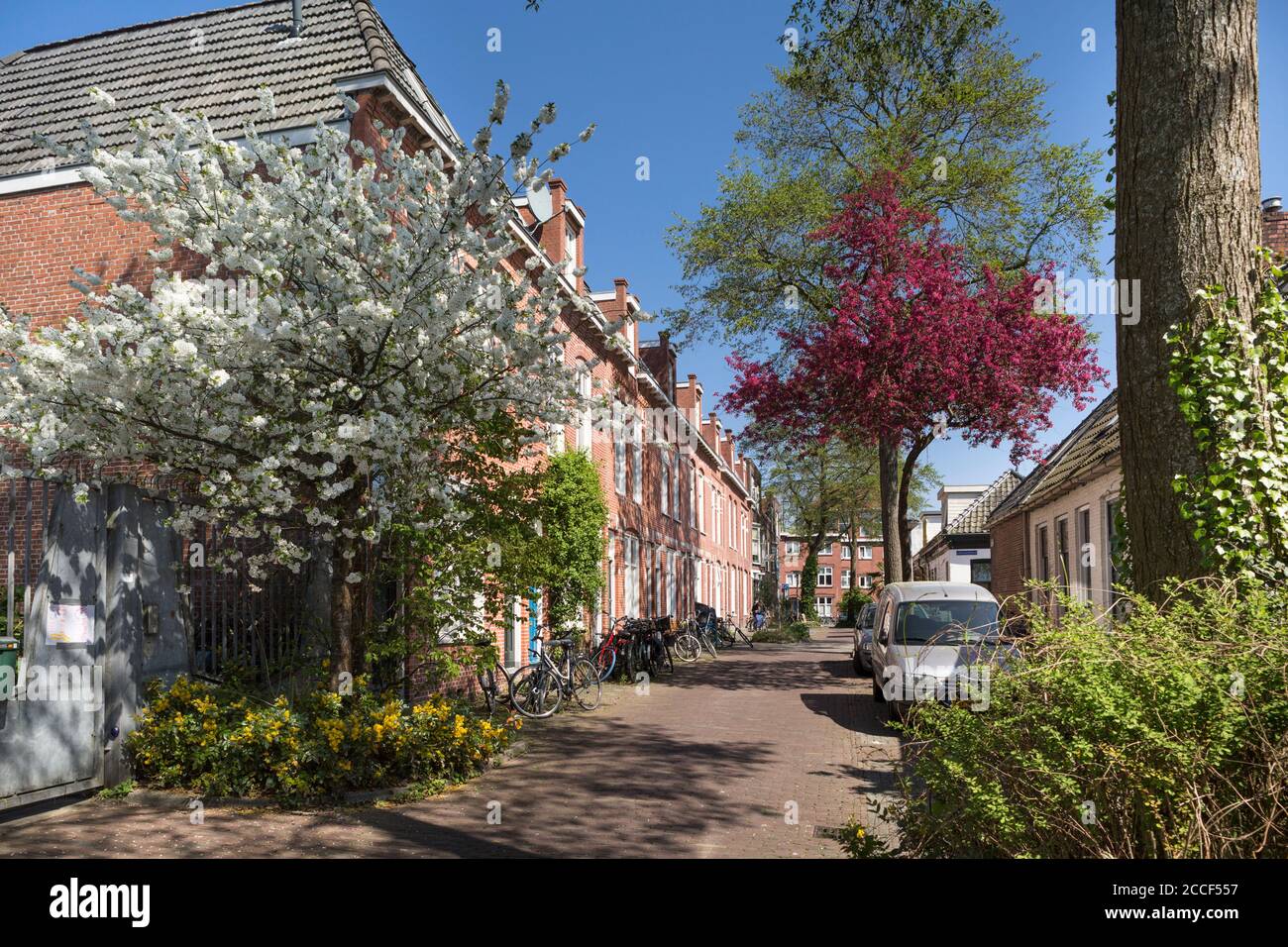 View of a small street in Groningen, the Netherlands Stock Photo