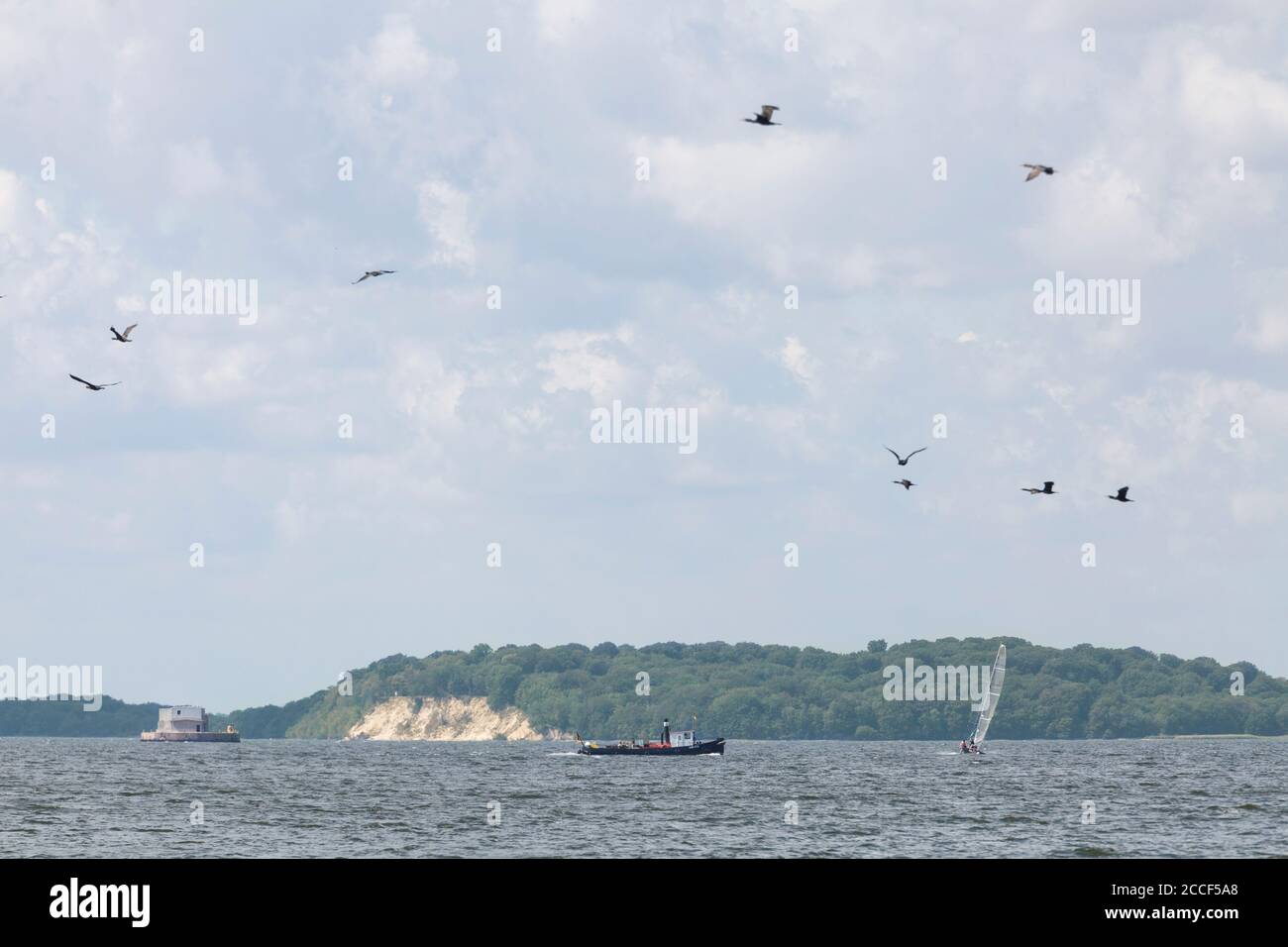 Sailors and birds off the island of Vilm, Greifswalder Bodden, Mecklenburg-West Pomerania, Germany Stock Photo