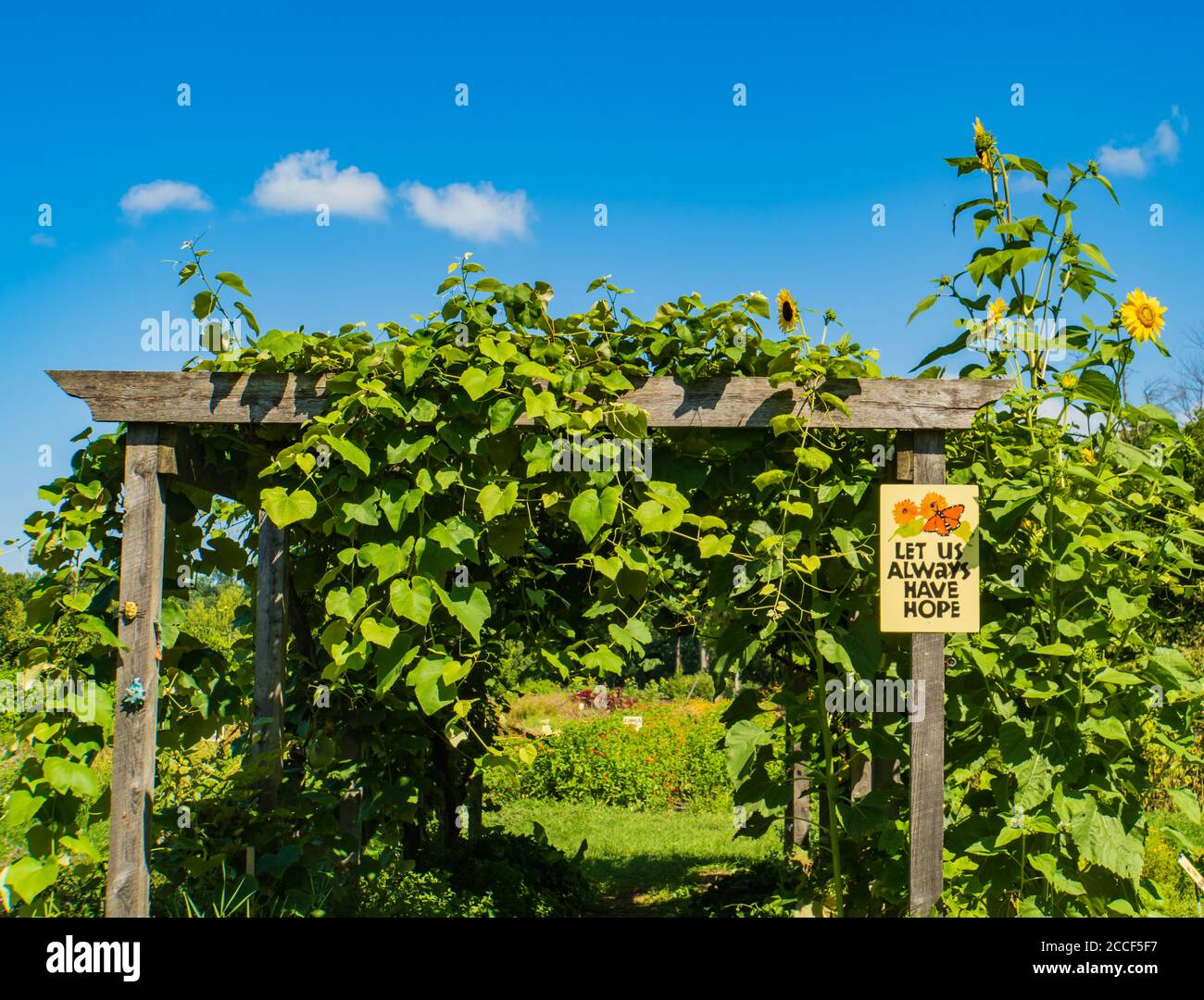 a sign of hope: wooden vine covered arbor leads to  community farm garden Stock Photo