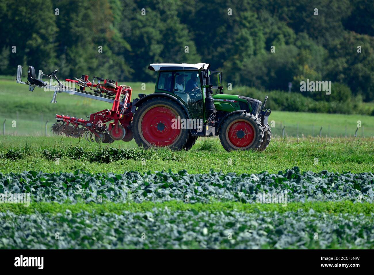 Fendt Vario 211 tractor with plow, Oberglatt, Zurich, Switzerland Stock  Photo - Alamy