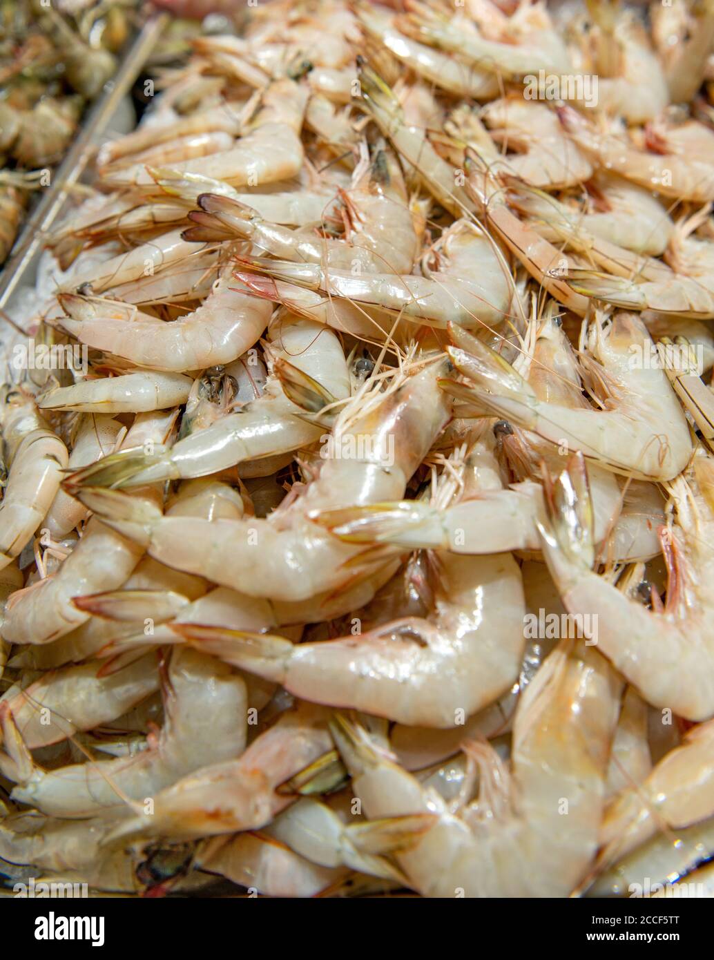 Shrims, Abu Dhabi fish market Stock Photo Alamy