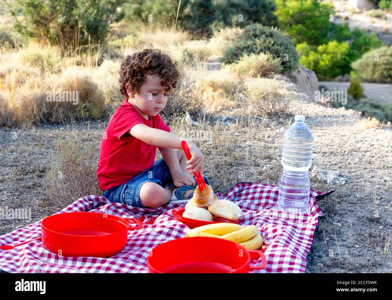 boy on picnic prodding a sandwich with a red fork, red and black checkered tablecloth and reusable plates, Stock Photo