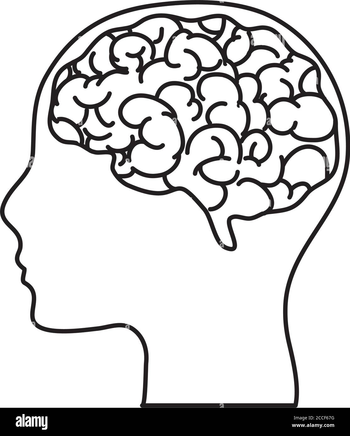 human body concept, head and brain icon over white background, line