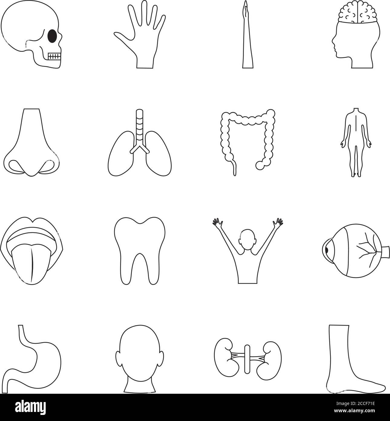 mouth and human body parts icon set over white background, line style ...