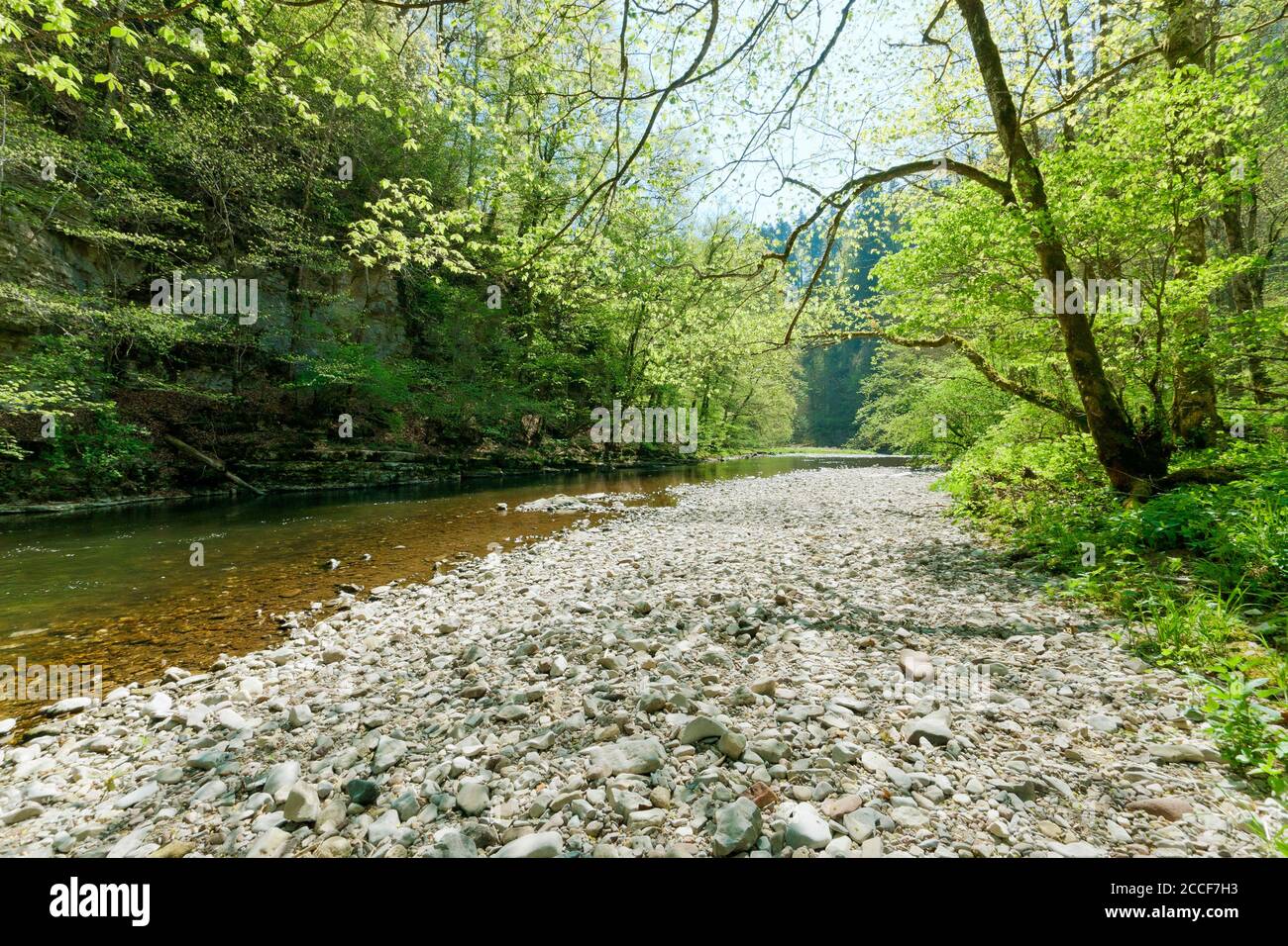 Germany, Baden-Württemberg, Löffingen-Bachheim, The Wutach between re-exit and Canadian footbridge in the nature reserve Wutachschlucht in the Breisga Stock Photo