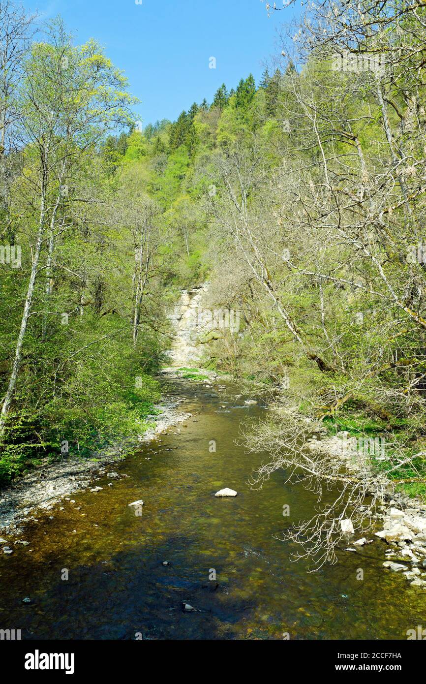 Germany, Baden-Wuerttemberg, Löffingen-Bachheim, The Wutach in the nature reserve Wutachschlucht in the Breisgau-Hochschwarzwald. Stock Photo