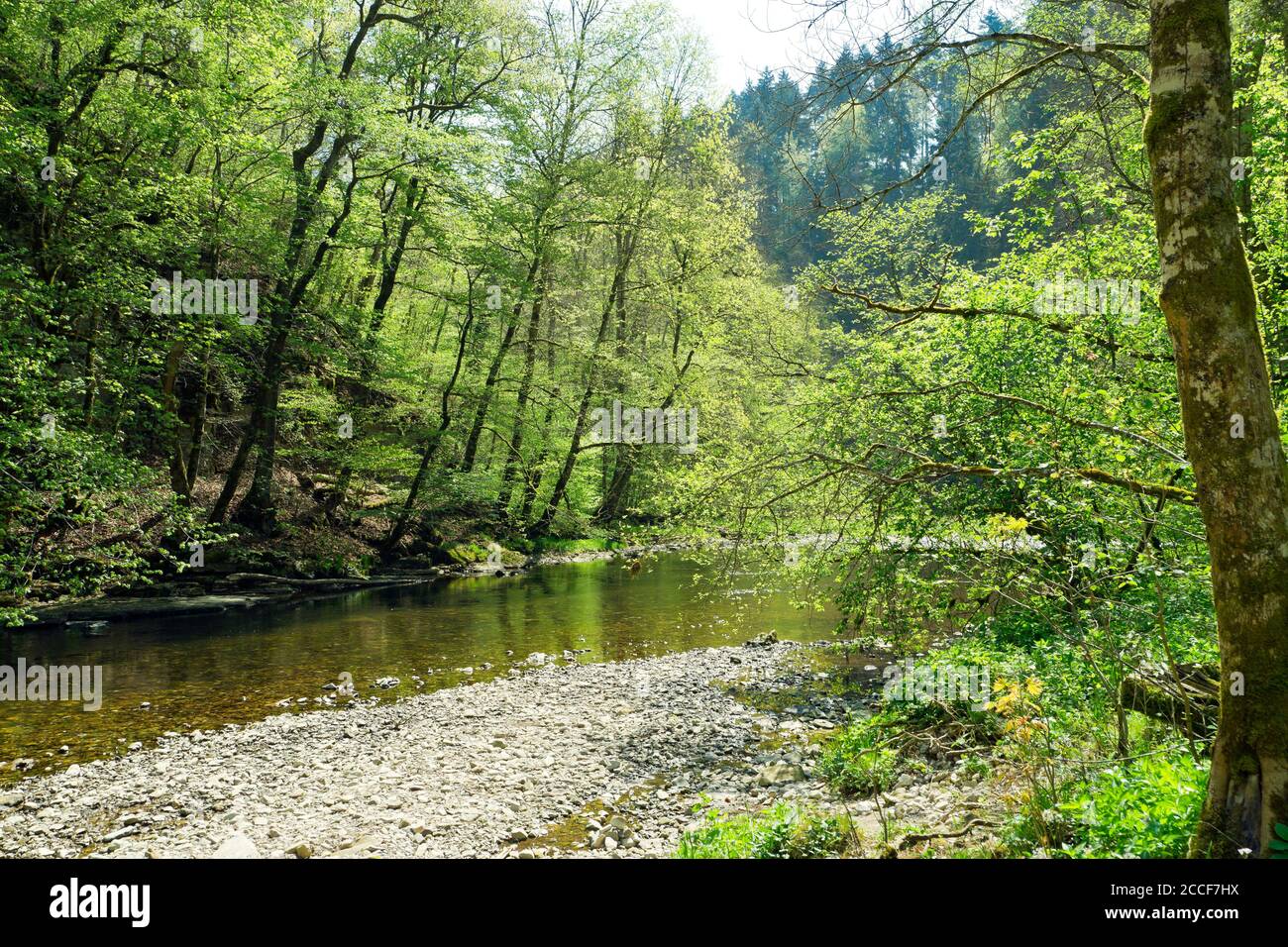 Germany, Baden-Württemberg, Löffingen-Bachheim, The Wutach between re-exit and Canadian footbridge in the nature reserve Wutachschlucht in the Breisga Stock Photo