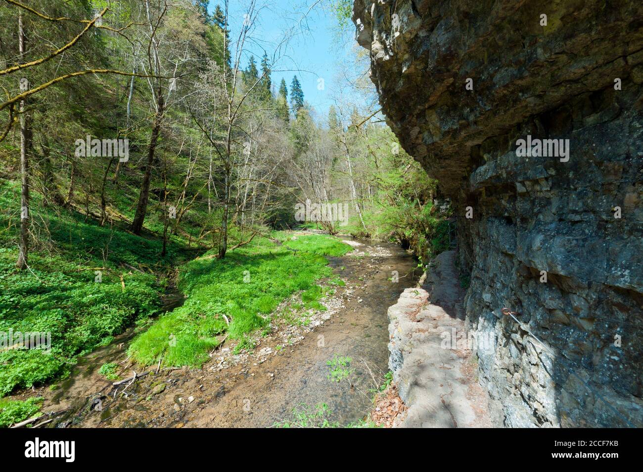 Germany, Baden-Wuerttemberg, Löffingen-Bachheim, rock wall in the Gauchach Gorge above the Burgmühle Stock Photo