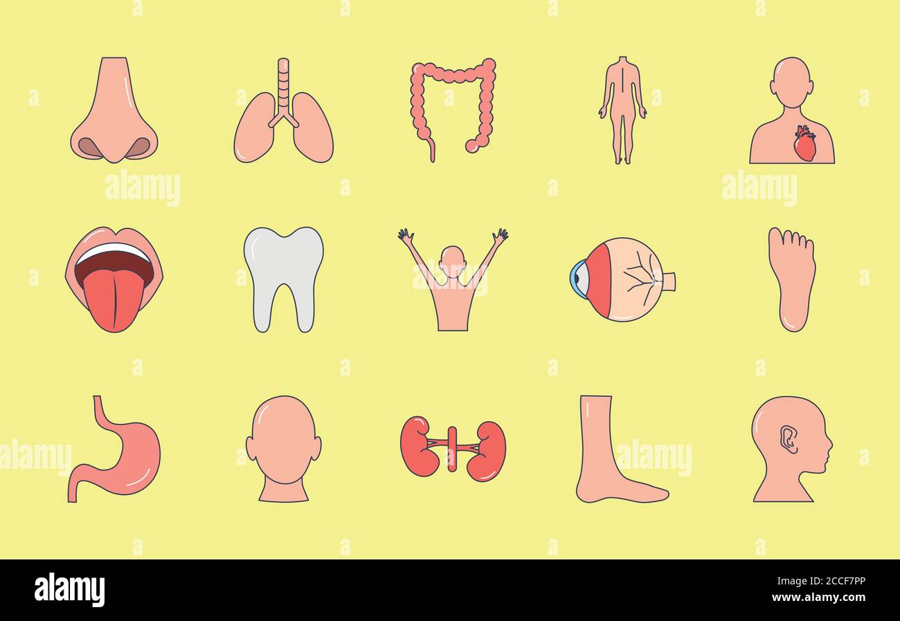 Tooth And Human Body Parts Icon Set Over Yellow Background Line Fill