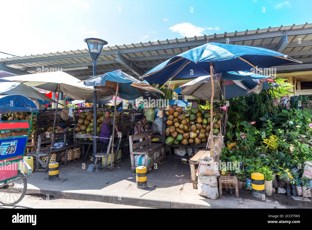 Coconuts sale, market, Toamasina, Tamatave, Madagascar, Africa, Indian Ocean Stock Photo