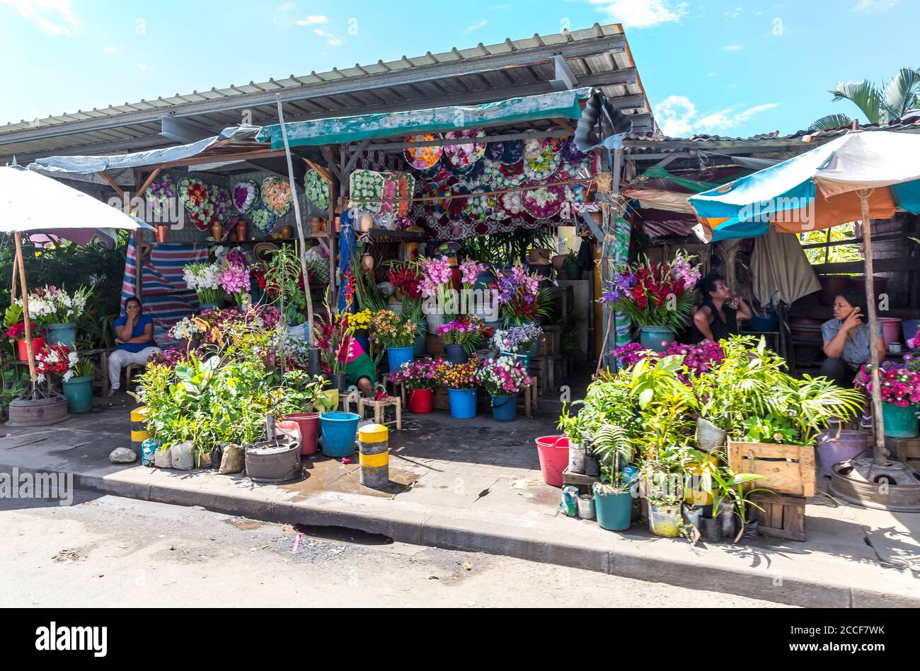 Flower sale, market, Toamasina, Tamatave, Madagascar, Africa, Indian Ocean Stock Photo