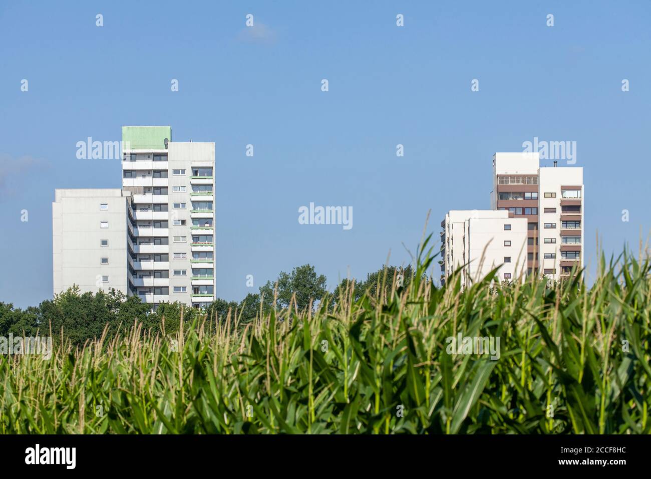 Fields and skyscrapers, Osterholz-Tenever, Bremen, Germany, Europe Stock Photo