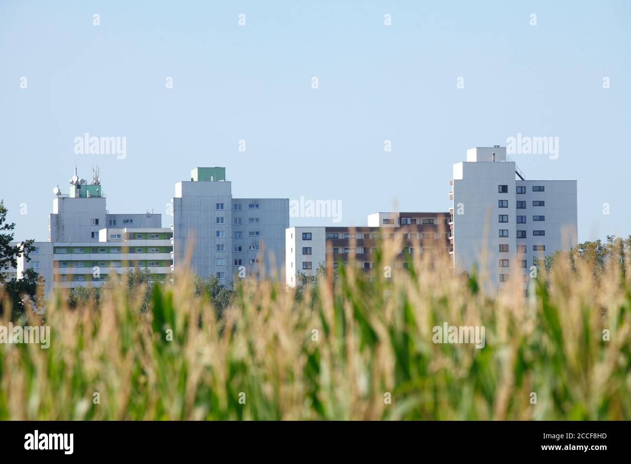 Fields and skyscrapers, Osterholz-Tenever, Bremen, Germany, Europe Stock Photo