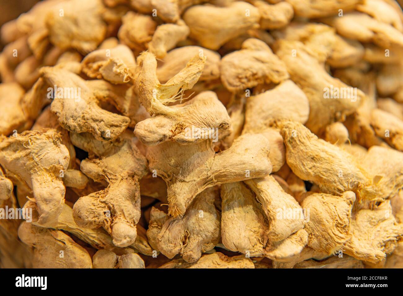 Variegated ginger hires stock photography and images Alamy