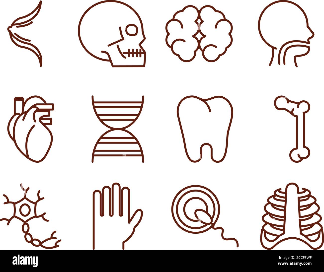 human body anatomy organs health icons collection line style vector ...