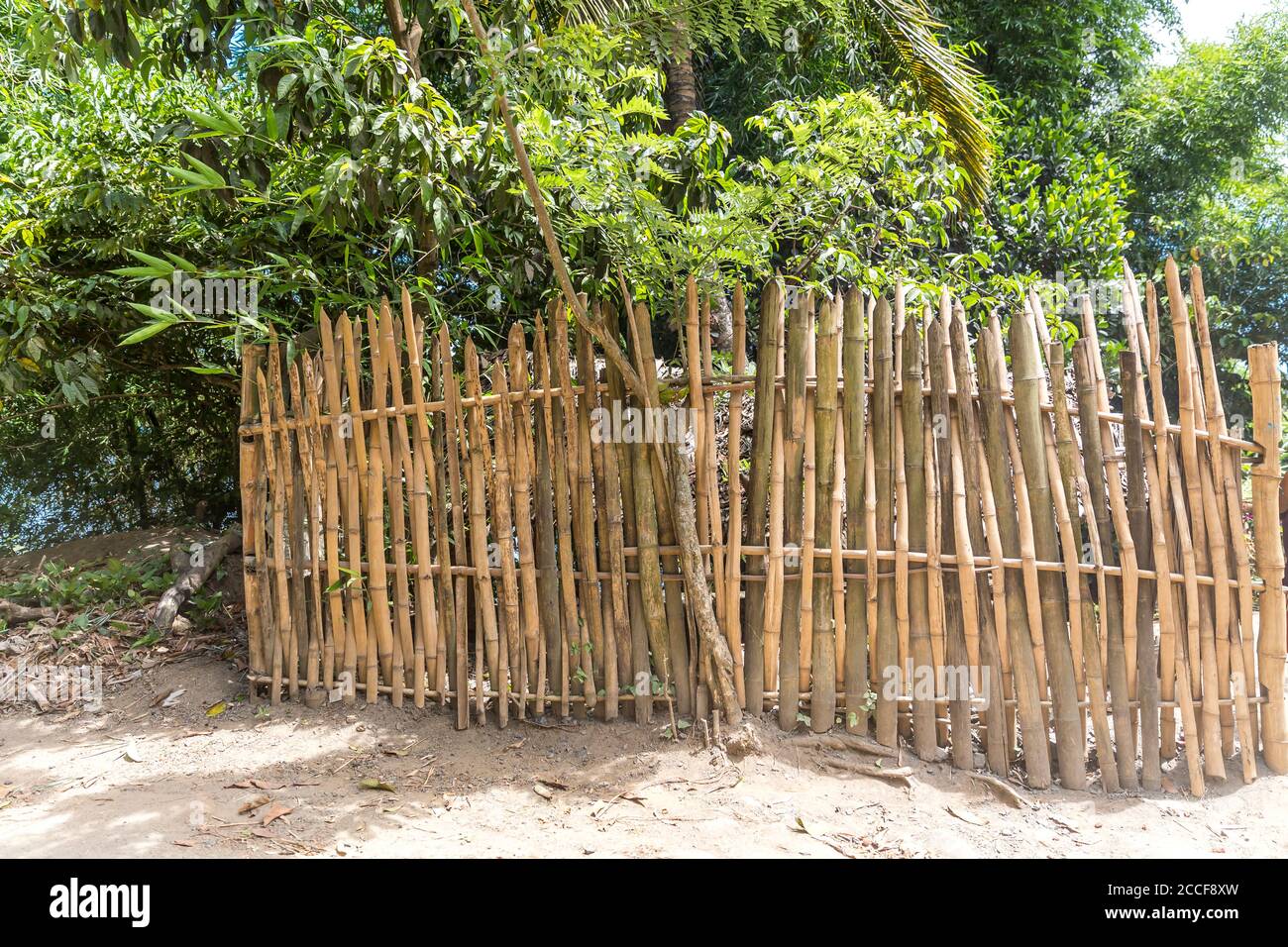 Bamboo fence, Ivoloina, Taomasina, Tamatave, Madagascar, Africa, Indian Ocean Stock Photo