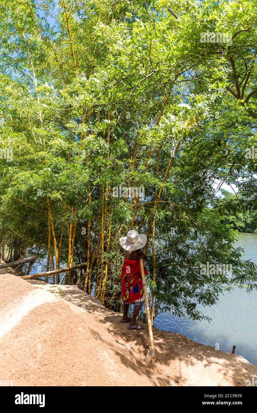 Woman with white hat stands next to a bamboo tree, (Bambusoideae), Ivoloina River, Taomasina, Tamatave, Madagascar, Africa, Indian Ocean Stock Photo
