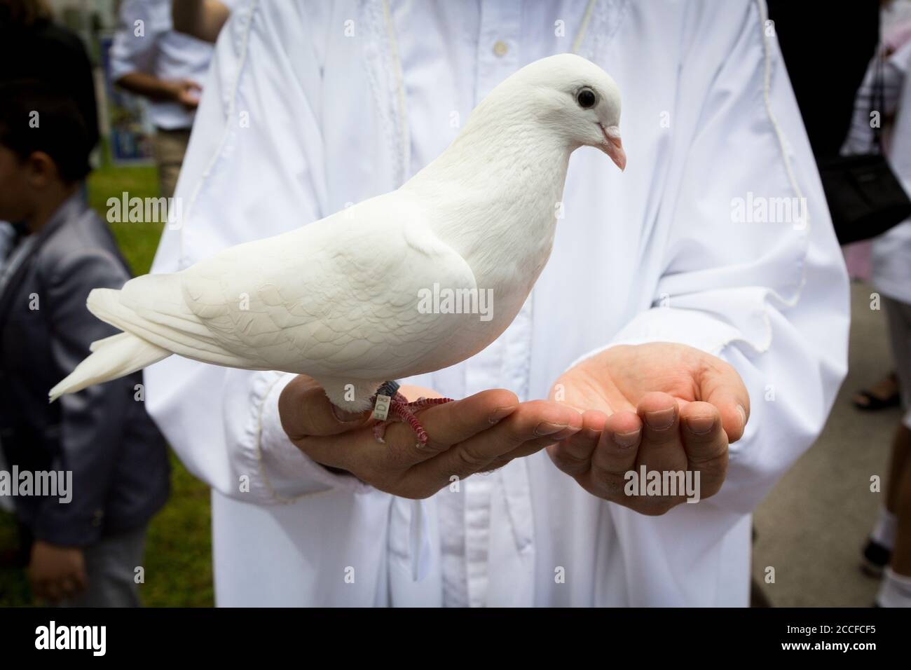 Germany, Bavaria, Penzberg, Islamic clergyman with dove Stock Photo