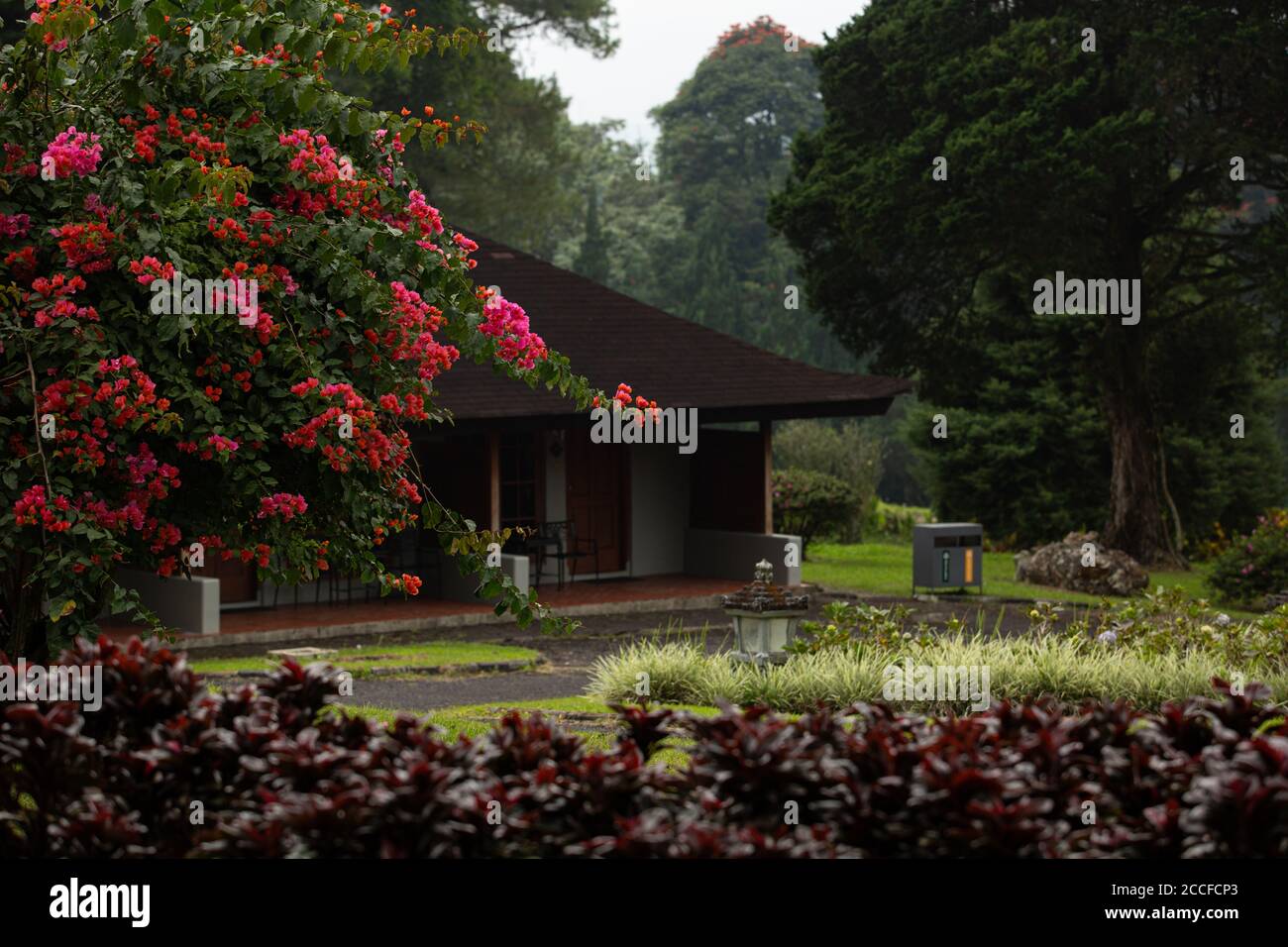 Magnificent view of the summer house in the mountains. Bali. Indonesia Stock Photo