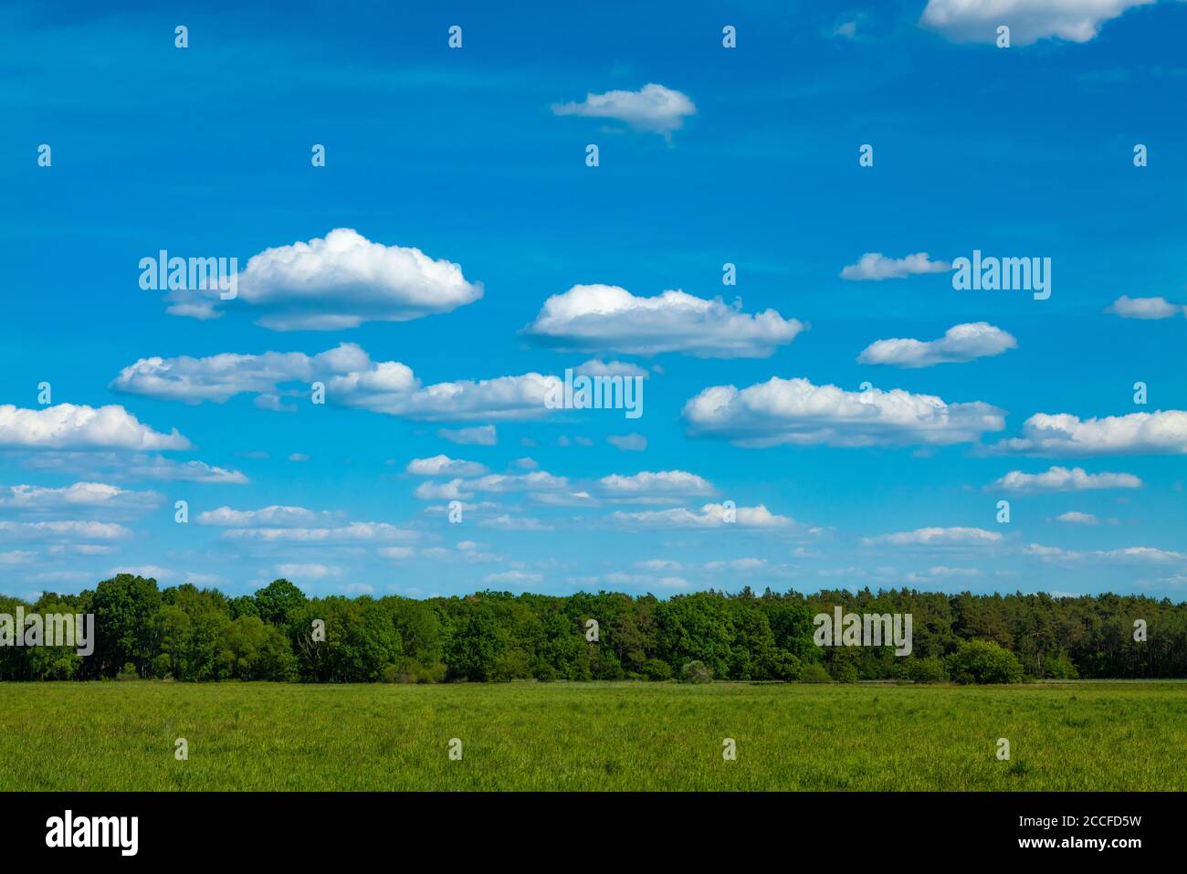 Sunny day in spring hi-res stock photography and images - Alamy