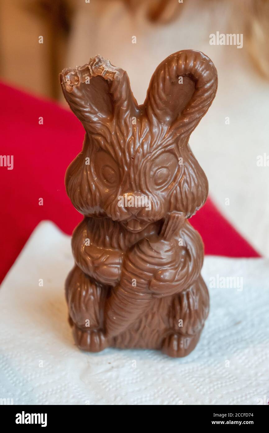 Easter chocolate bunny with a bite out of one ear Stock Photo