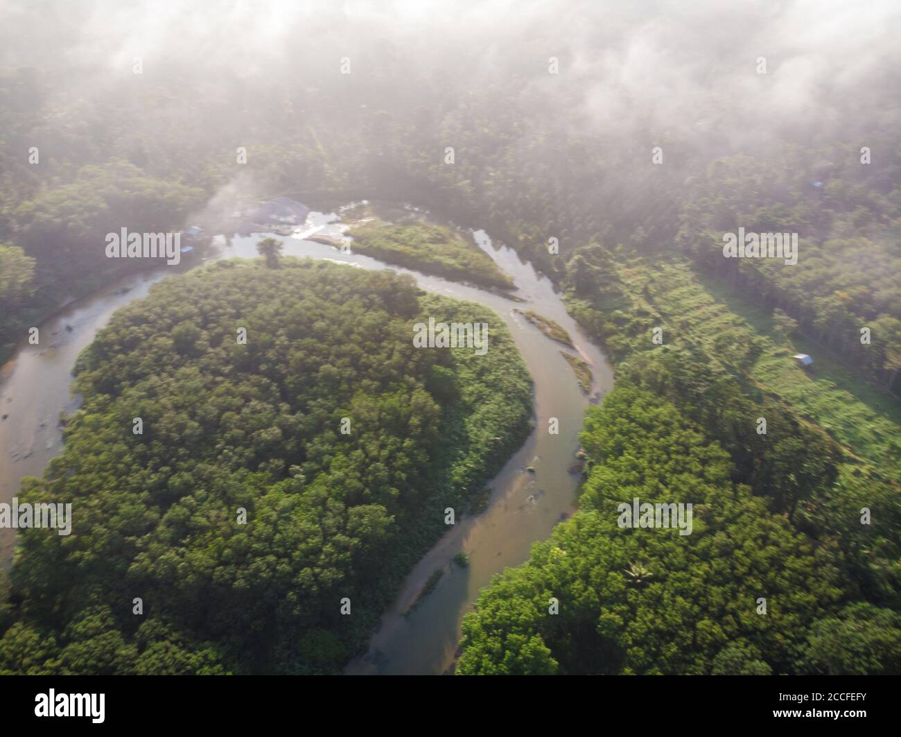 Canopy River High Resolution Stock Photography and Images - Alamy