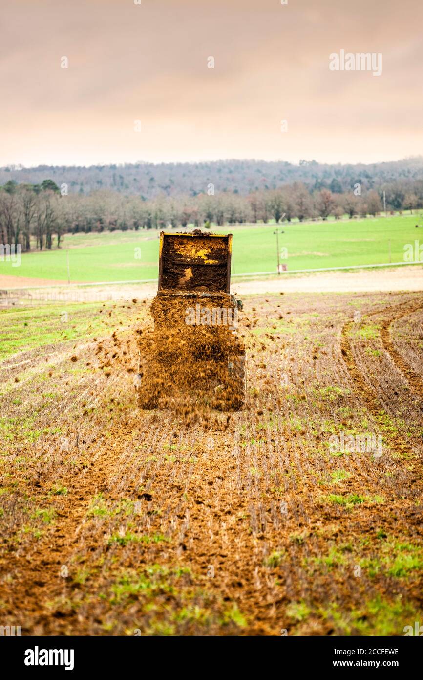 Farmer spreading manure Stock Photo