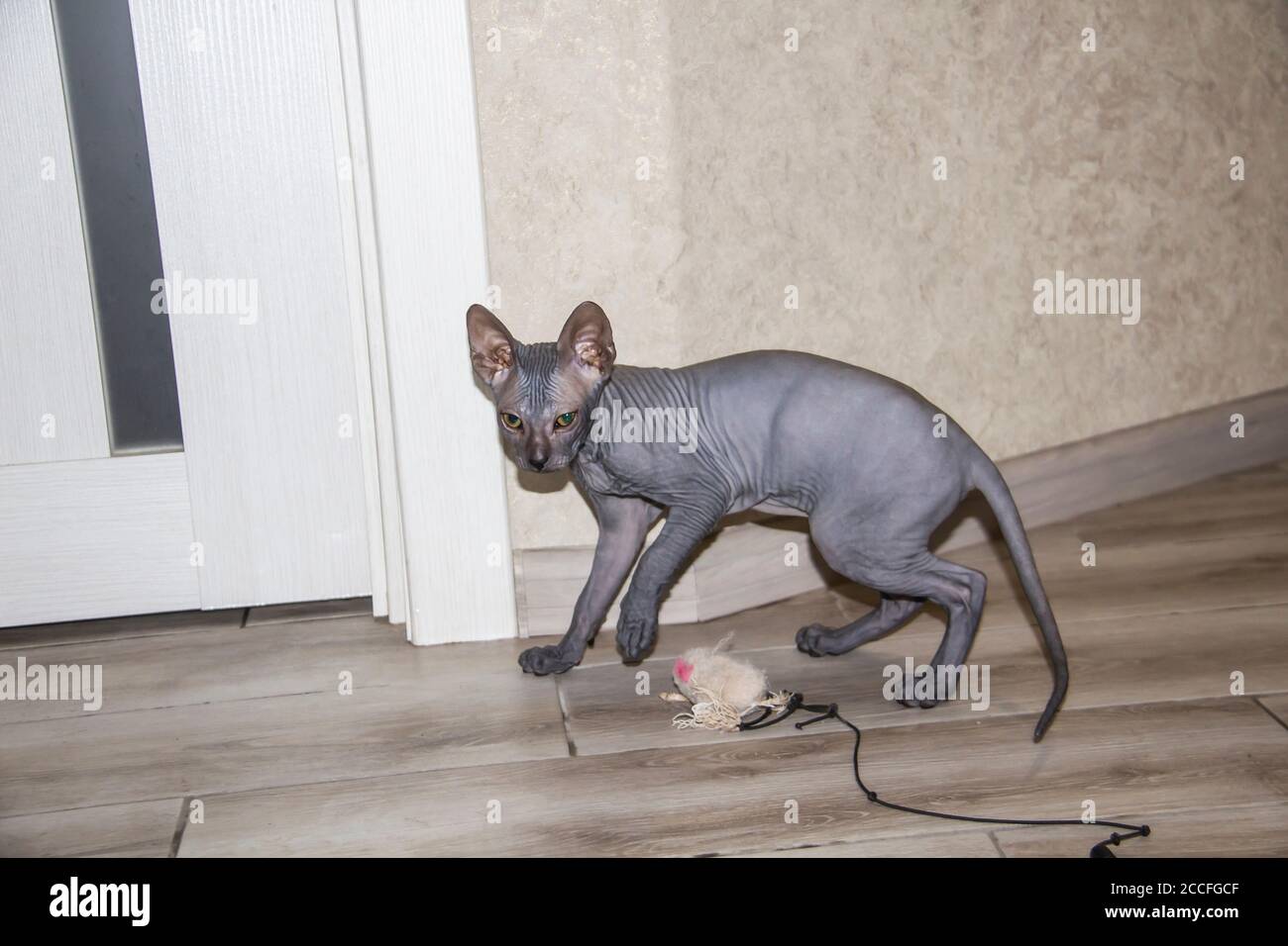 toy that spins on floor