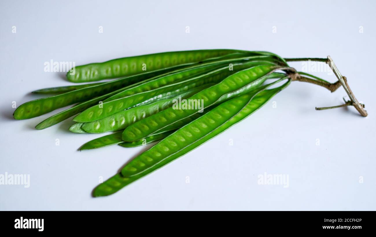 River tamarind leucaena leucocephala hi-res stock photography and ...