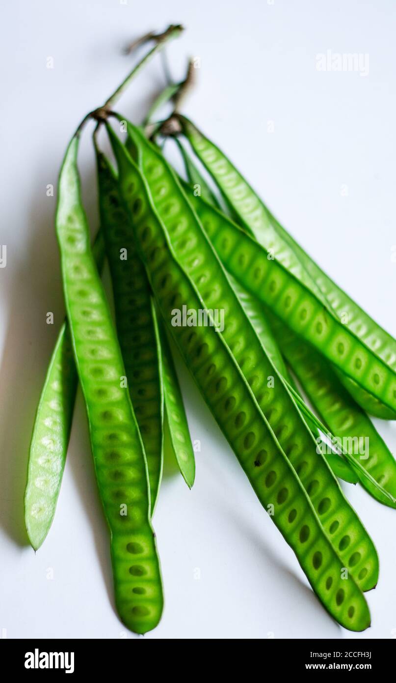 River tamarind leucaena leucocephala hi-res stock photography and ...