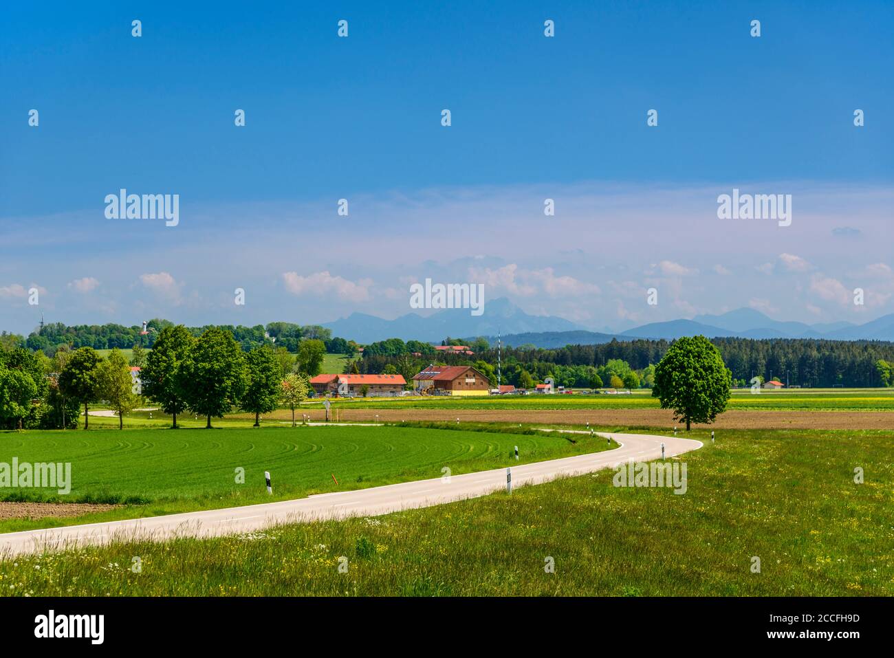 Germany, Bavaria, Upper Bavaria, Tölzer Land, Dietramszell, Baiernrain district, spring landscape against alpine chain Stock Photo