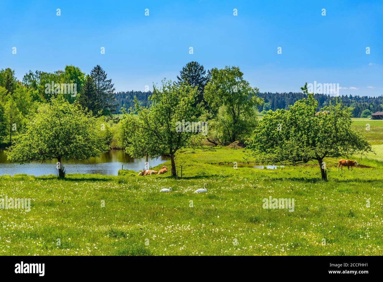 Lochen district hires stock photography and images Alamy