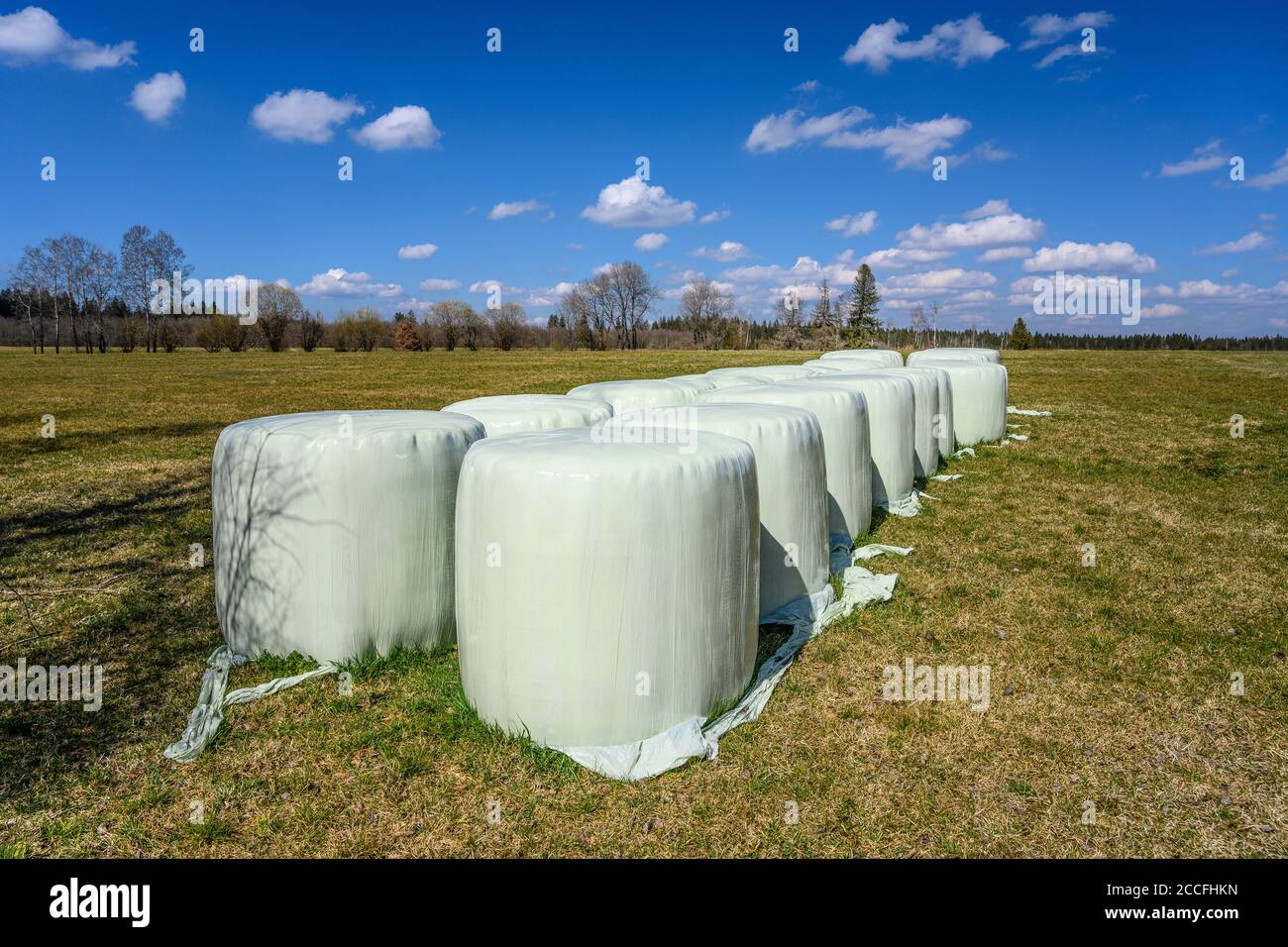 Germany, Bavaria, Upper Bavaria, Tölzer Land, Königsdorf, Mooseurach district, Königsdorfer Moos, silo bales Stock Photo