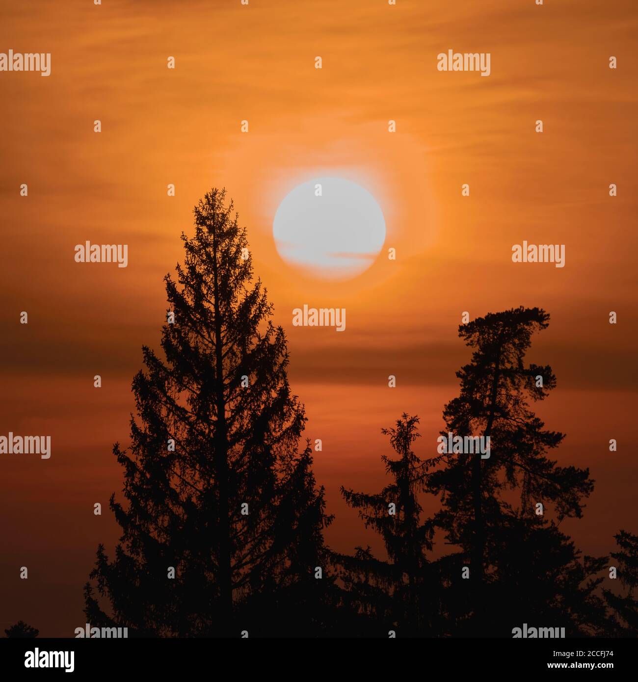 Swabian Alb, sunset between the tree tops, Zollernalbkreis, Baden-Württemberg, Germany, Europe Stock Photo