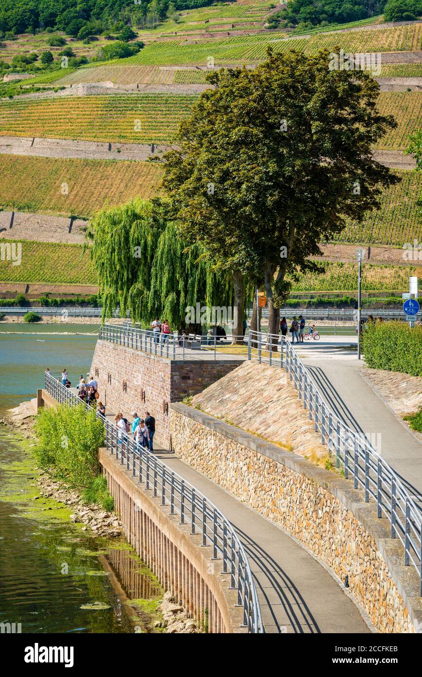 Rhein-Nahe-Eck with tourists Stock Photo