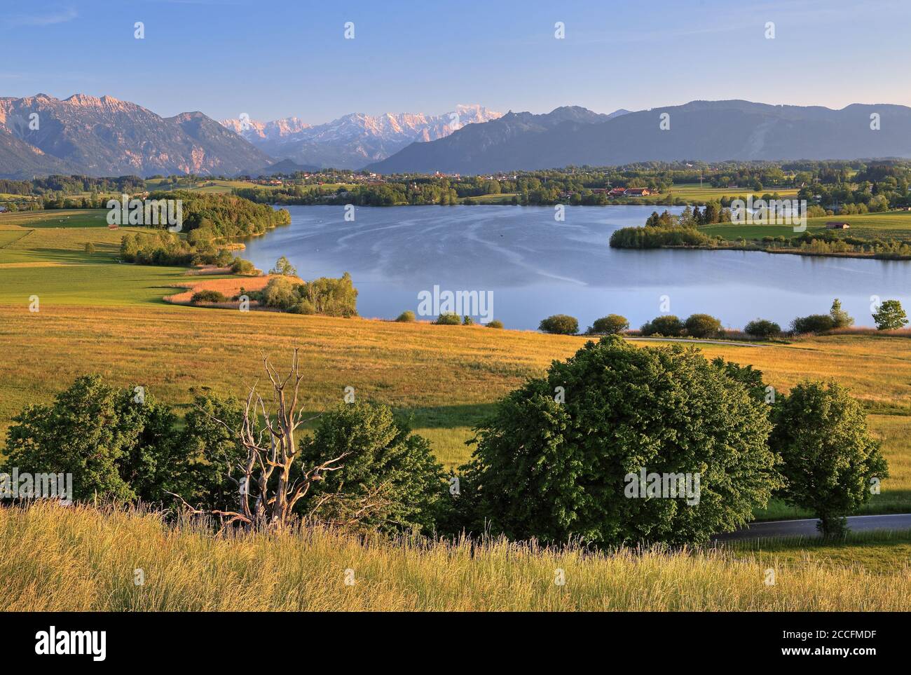 Panorama with Riegsee, Zugspitzgruppe (2962m) in the Wetterstein Mountains and Ammergau Alps, Aidling, Das Blaue Land, Upper Bavaria, Bavaria, Germany Stock Photo