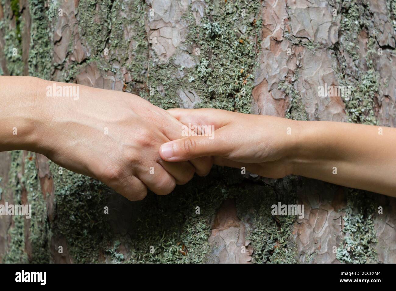 Helping hand outstretched for salvation . Strong hold. Stock Photo