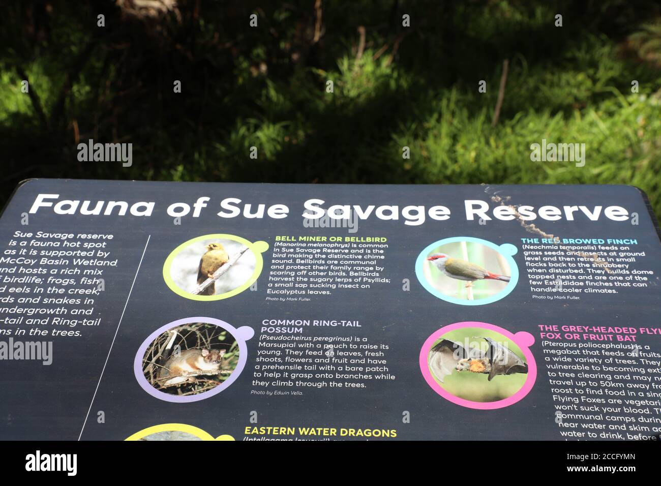 Sue savage reserve hires stock photography and images Alamy