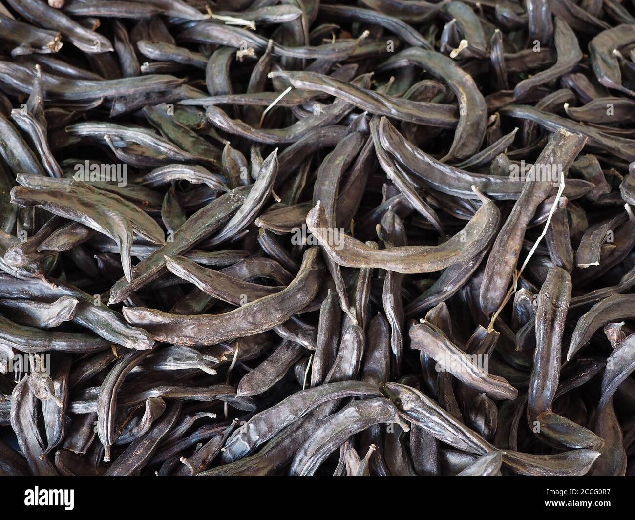 A pile of brown dried carob (Ceratonia siliqua) pods. Overhead shot